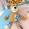 Wholesale of new pet plush toys for teeth grinding and cleaning, interactive toys for dogs and cats to enjoy themselves and relieve boredom Application Scenario